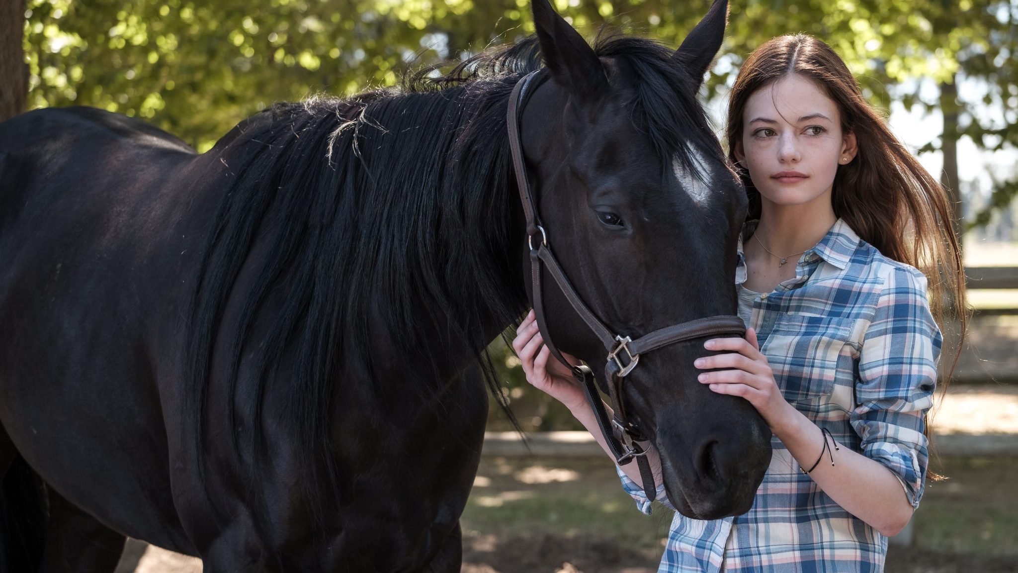 Черный красавец. Чёрная красавица фильм 2020. Black Beauty 2020 Mackenzie Foy. Тёмная лошадка (2020) - сериал. Кобыла из Исттауна сериал.